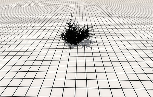 afghan vegetation 24 tree 3d max - 24 Afghan Vegetation Models by pure3dviz